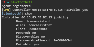 2021-05-03 16_24_40-Terminal - Home Assistant