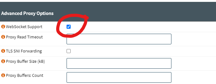  solved Unable To Connect To Home Assistant From WAN Duck DNS 