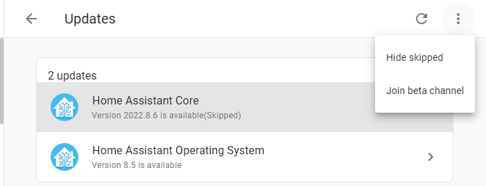 Skipped updates not showing - Configuration - Home Assistant Community