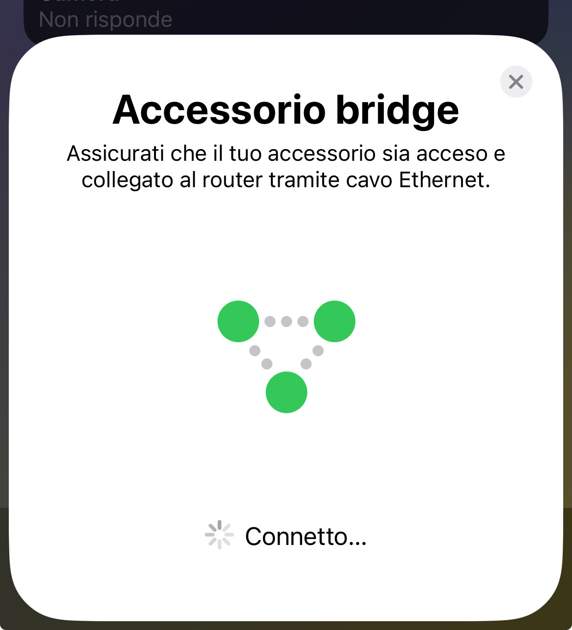 Issues with HomeKit Bridge after reboot and update to HA 2024.10.2